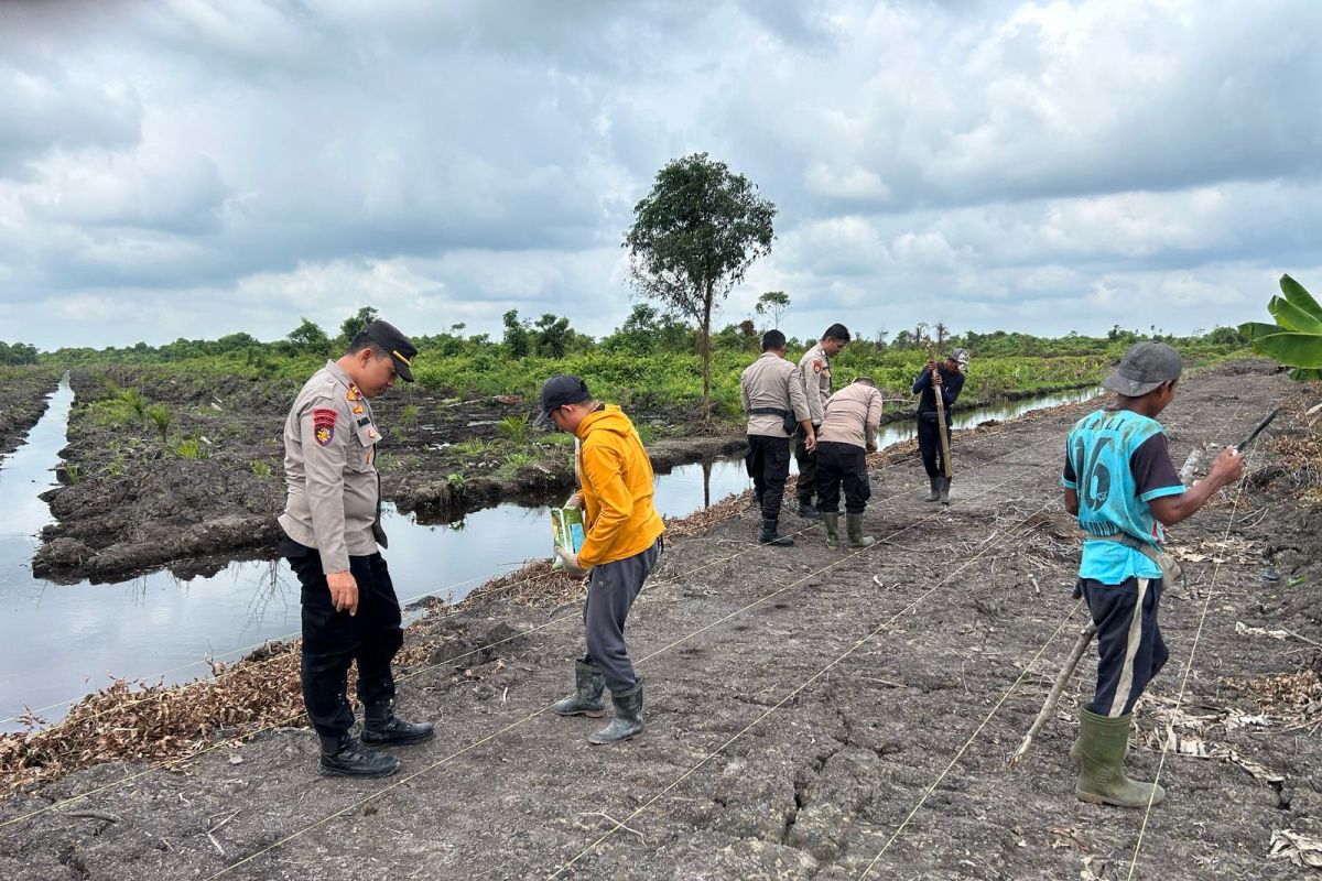 Polsek Sungai Batang tanam jagung bersama masyarakat