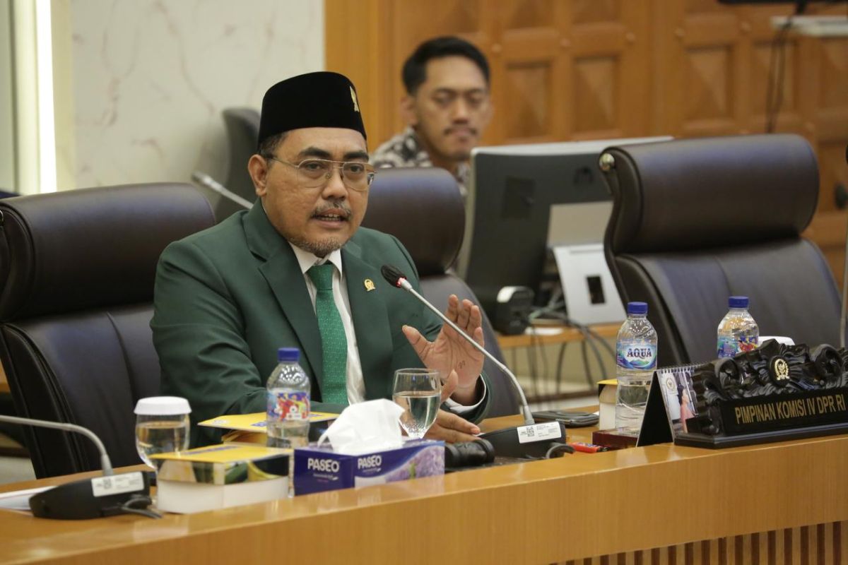 Wakil Ketua Banggar: #KaburAjaDulu direpons positif demi berbenah