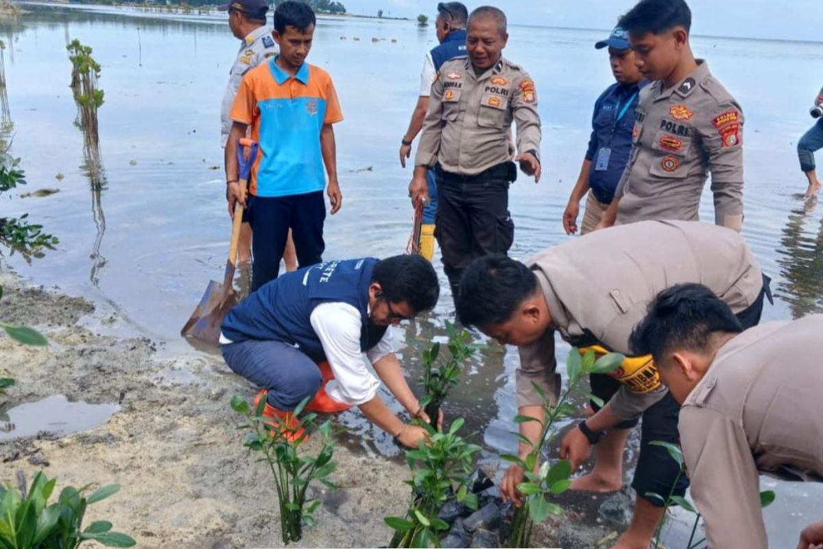 Peringati HPSN, seribuan bibit pohon mangrove di tanam di Pulau Pari