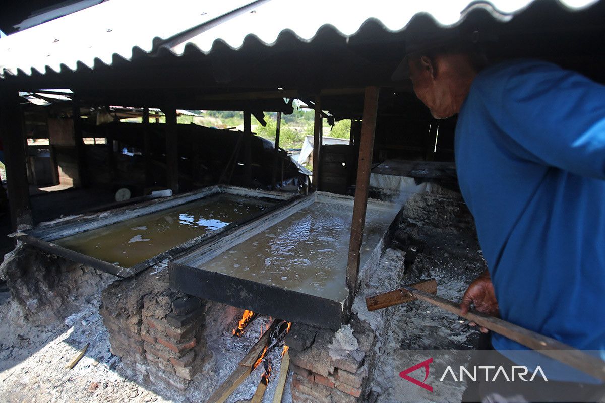 FOTO - Target produksi garam Aceh tahun 2025