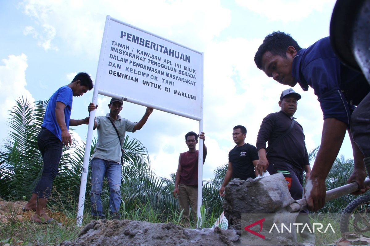 Masyarakat Tenggulun duduki kebun sawit di lahan eks TNGL di Aceh Tamiang