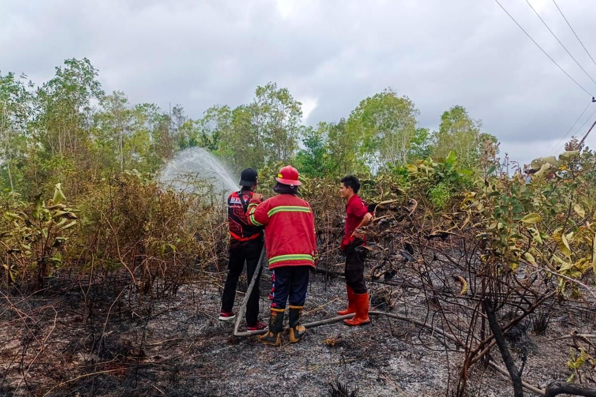 Pemkab Natuna padamkan karhutla di Bunguran Timur