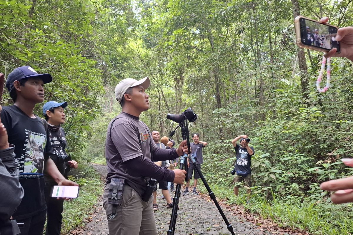 "Orang tua asuh" untuk pelestarian burung di Desa Plangijo