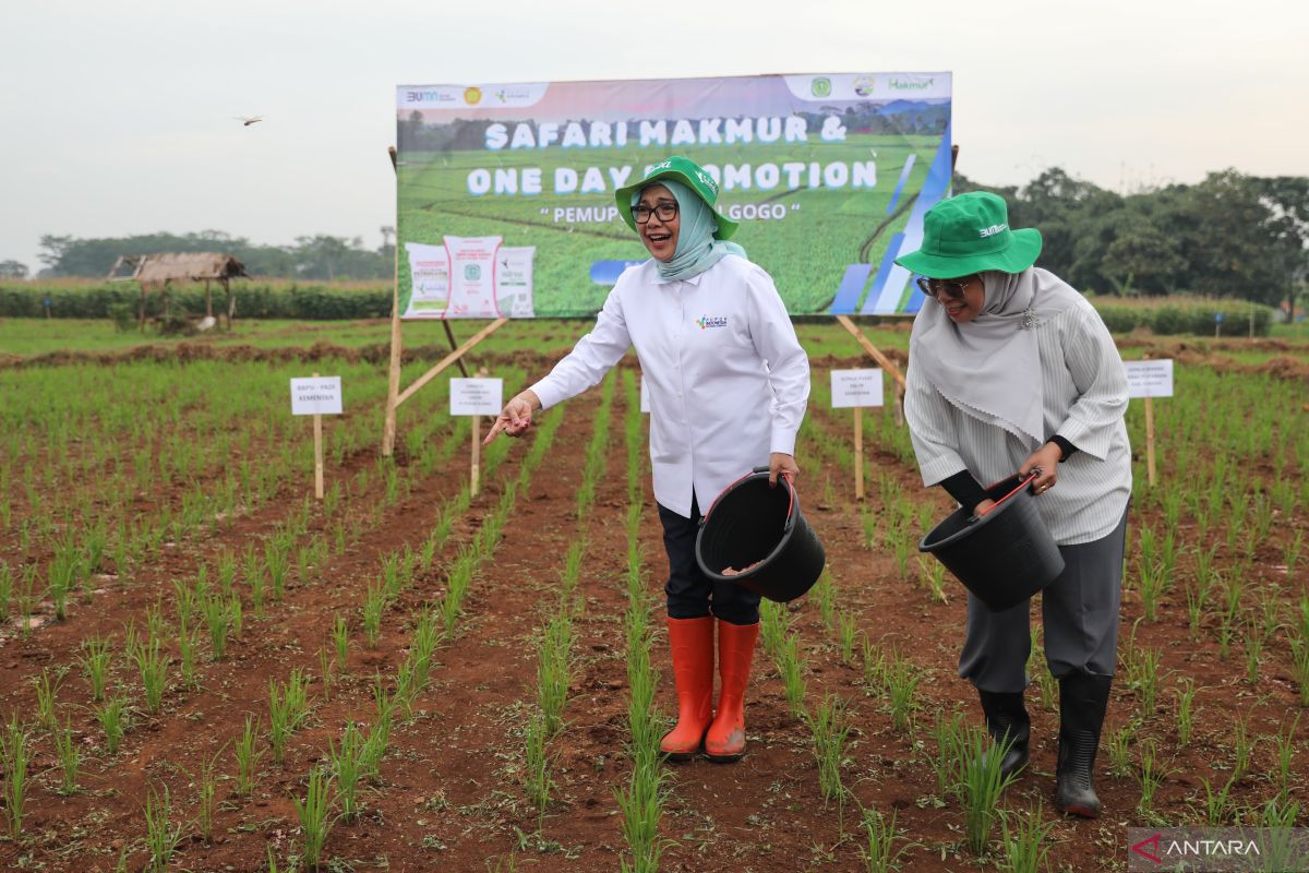 Pupuk Indonesia tingkatkan kesejahteraan petani lewat pendampingan