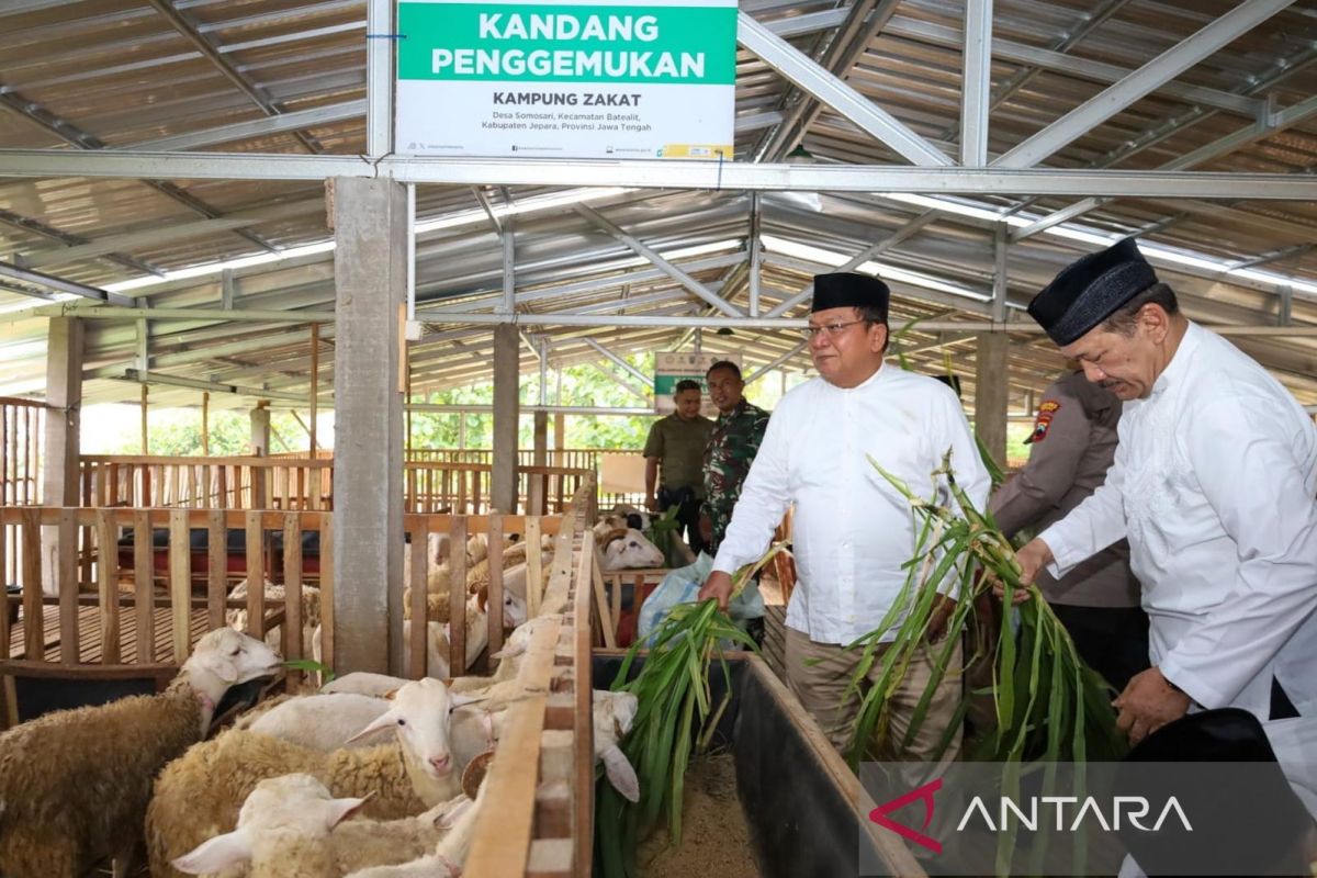 Baznas berdayakan mustahik di Jepara lewat program Balai Ternak