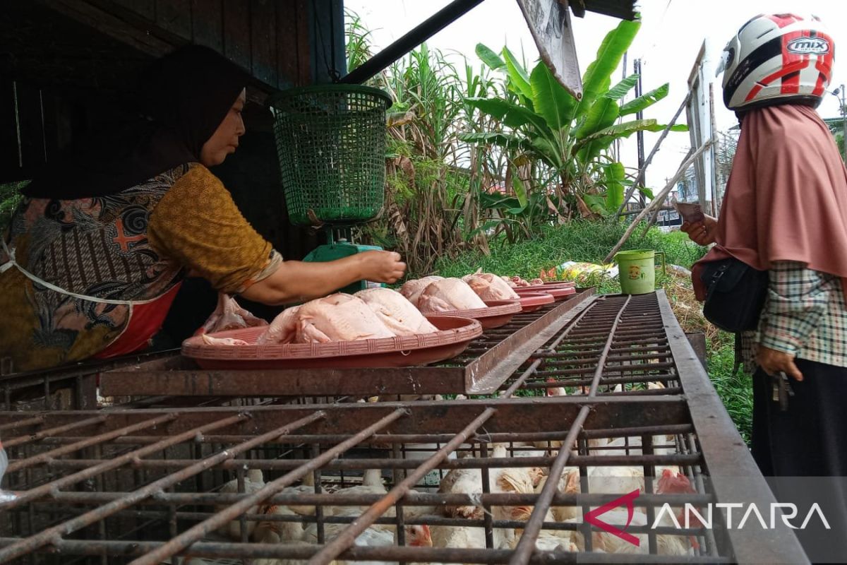 Jelang Ramadhan harga ayam di Pekanbaru naik Rp26.000