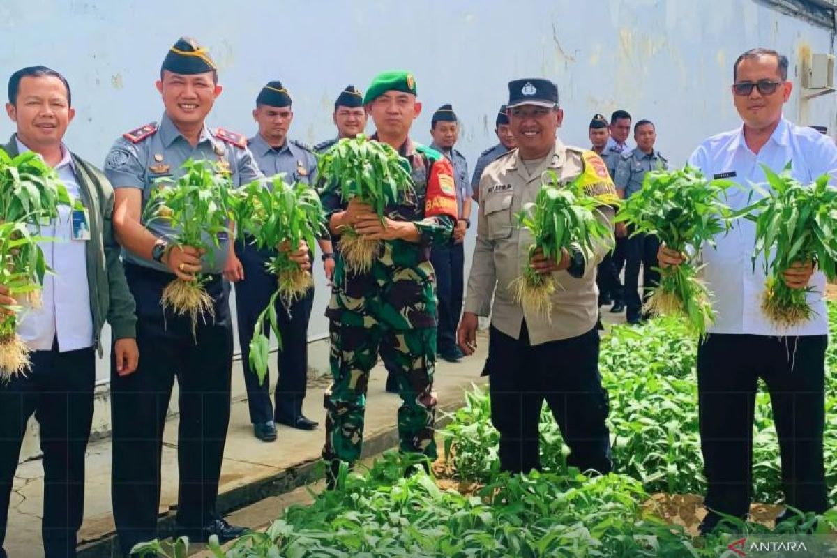 Rutan Tanjungpinang panen 150 kg kangkung