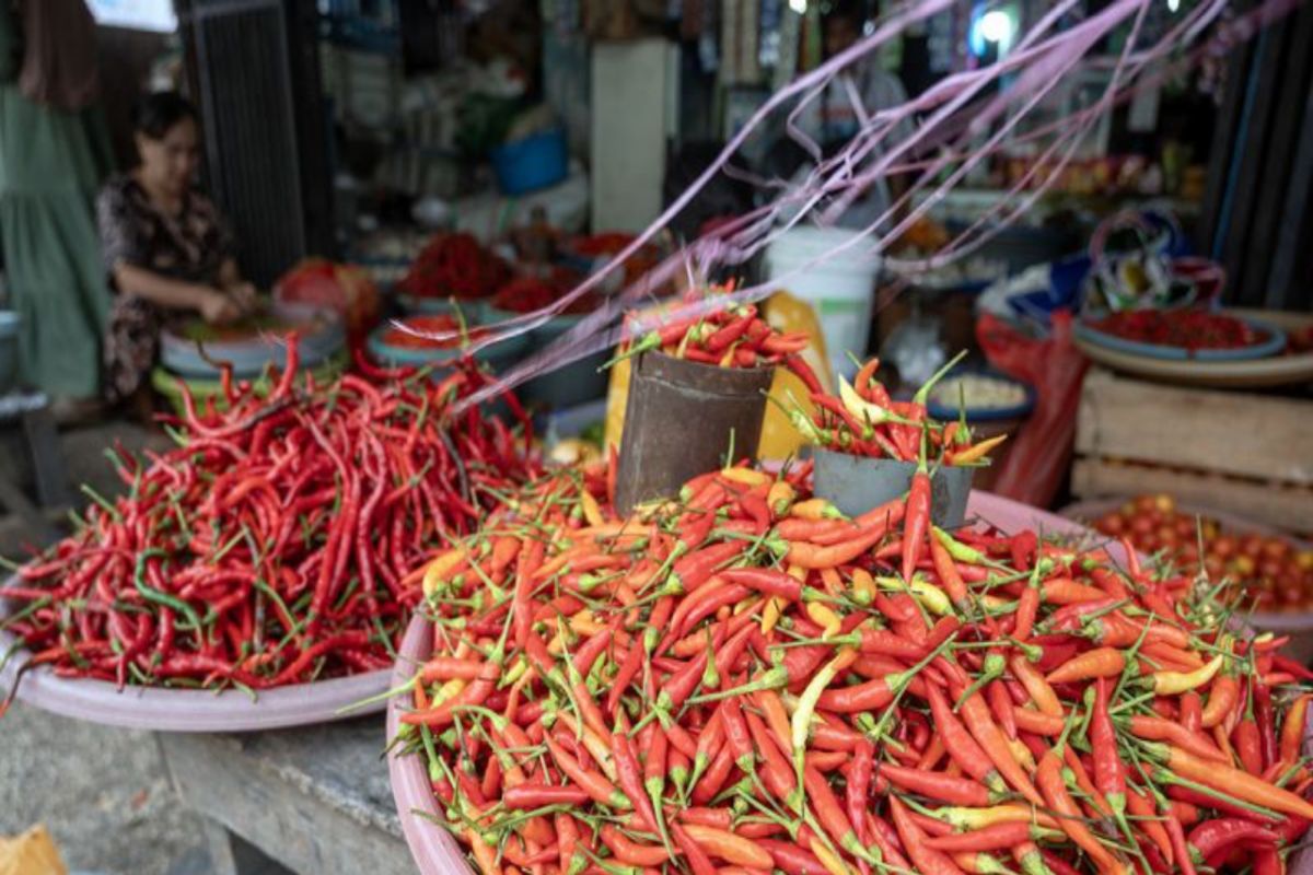 Harga bahan pokok di Kota Palu merangkak naik jelang Ramadhan