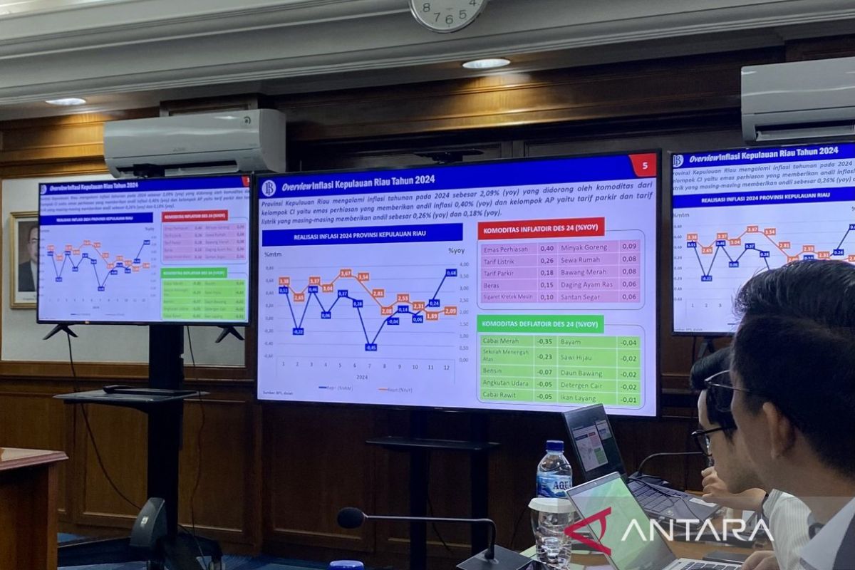 BI Kepri: Inflasi stabil, kenaikan tarif listrik tetap menjadi tantangan