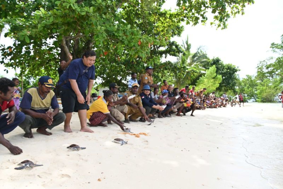 A glimpse into turtle conservation at Cenderawasih Bay by local group