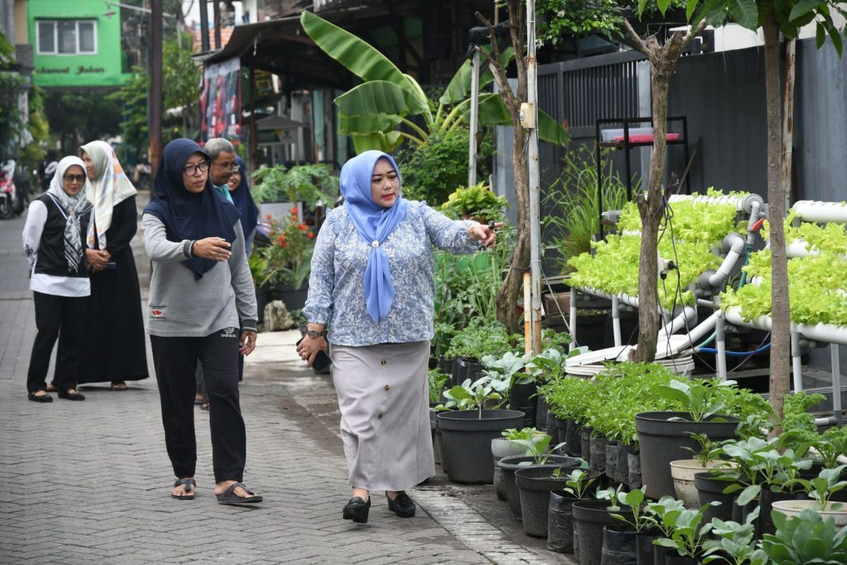 Wakil Ketua DPRD Surabaya dorong keberlangsungan "urban farming"