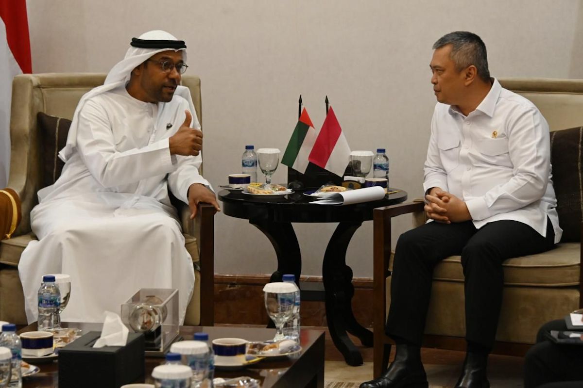 Indonesia, UAE seek to cooperate in aviation sector