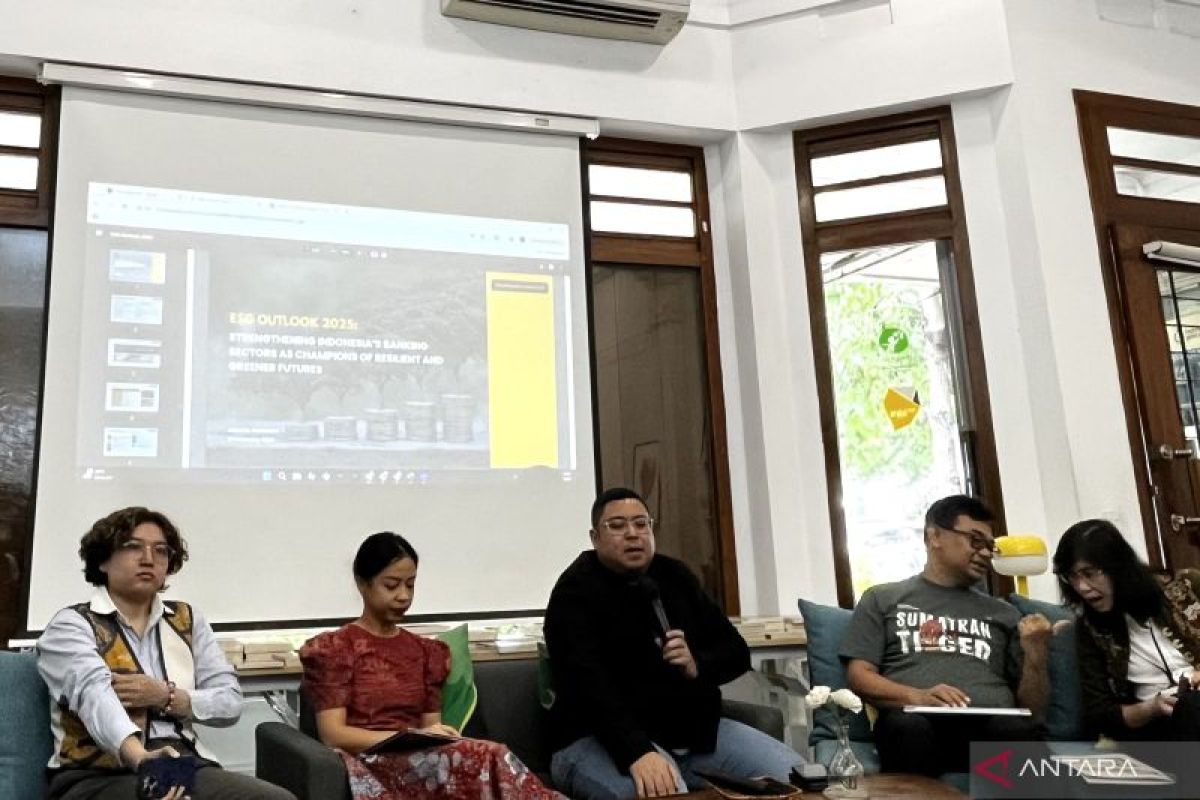 Pengamat soroti pengawasan dan akuntabilitas praktik ESG perbankan