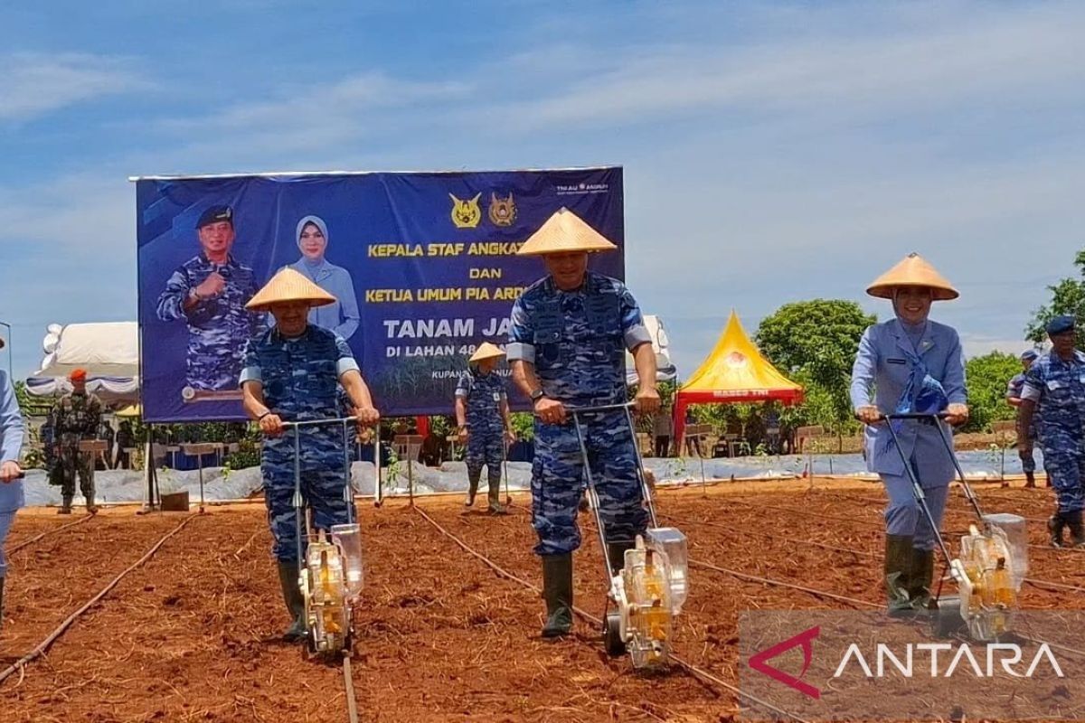 KSAU tanam bibit jagung di Kupang dukung program ketahanan pangan