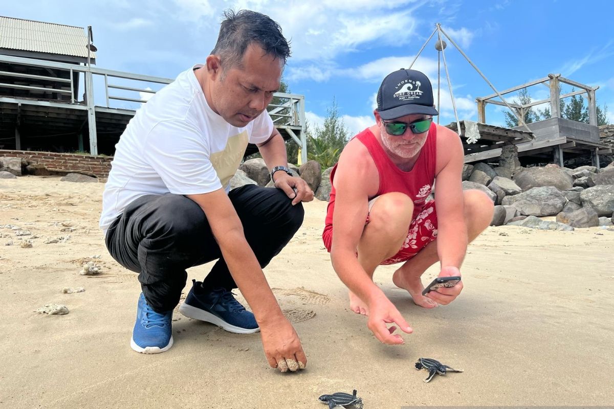 Pengusaha pariwisata di Aceh lepas 90 tukik belimbing untuk jaga kelestarian laut