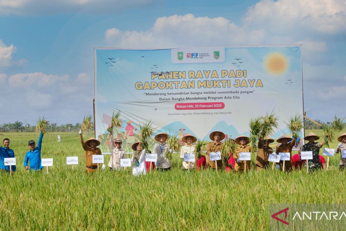 BI Riau Panen Raya Padi di Rohil