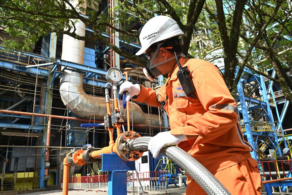 PLN Indonesia Power uji bahan bakar amonia hijau di PLTU Labuan