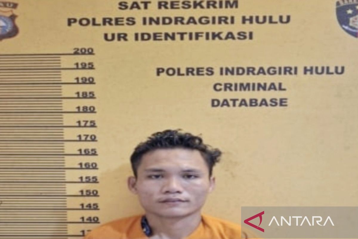 Kabur ke Samosir, pembunuh satpam ditangkap Polres Inhu