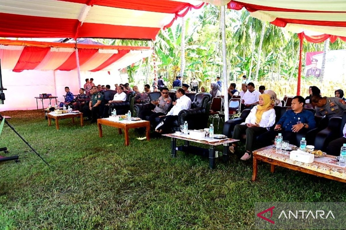 Gorontalo produksi jagung 32,6 ton