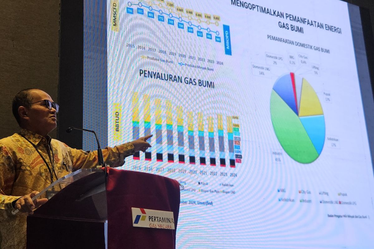 BPH Migas: Percepatan pembangunan jargas rumah tangga butuh komitmen pemda