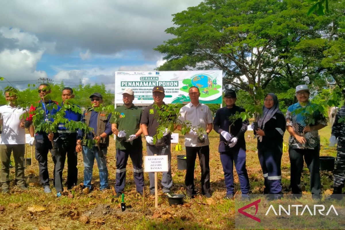 Penanaman pohon siapkan swasembada energi