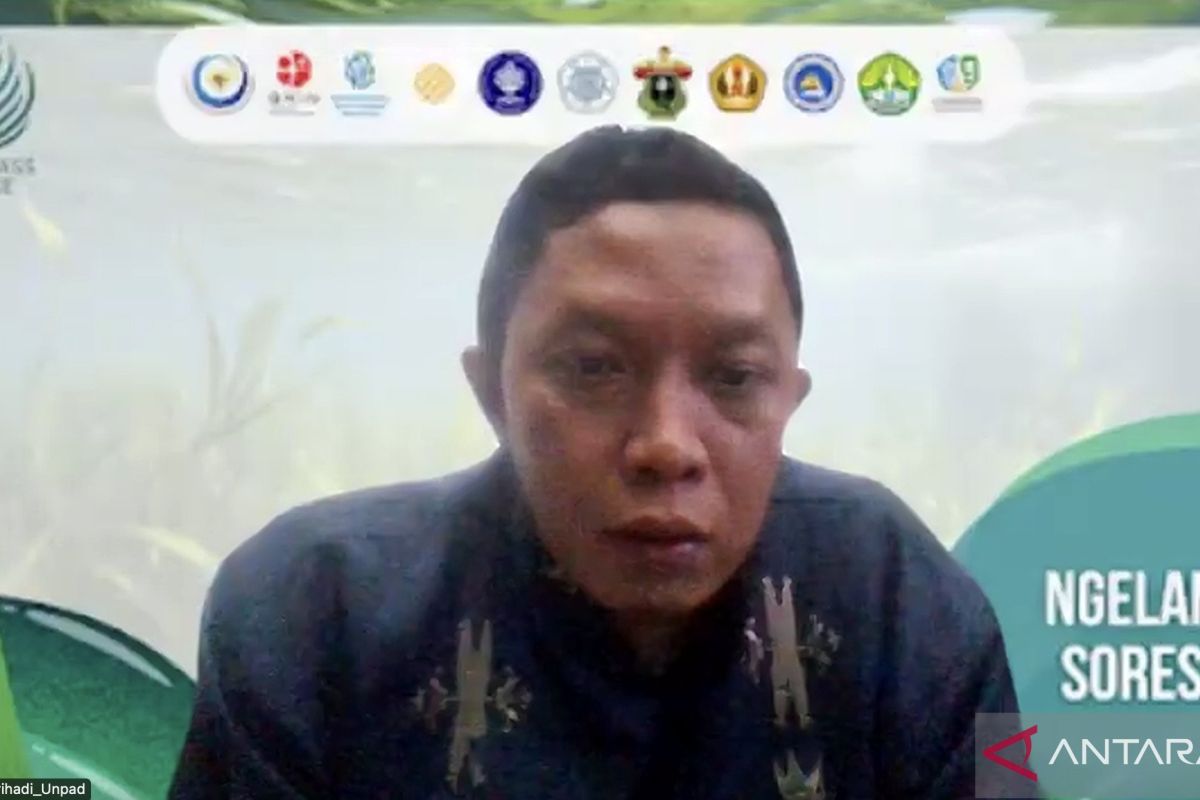 Pakar: Ekowisata di padang lamun perlu analisa daya dukung lingkungan