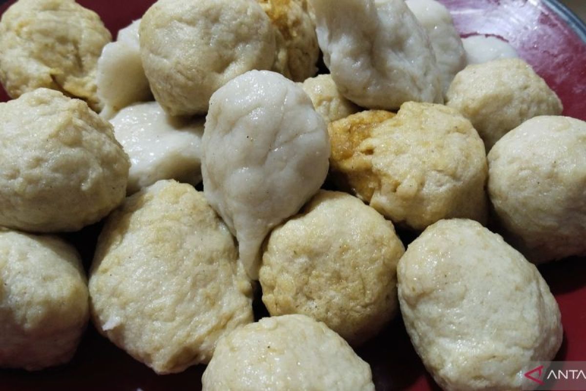 Permintaan pempek melonjak, tembus hingga 24.000 ton selama Pornas Korpri