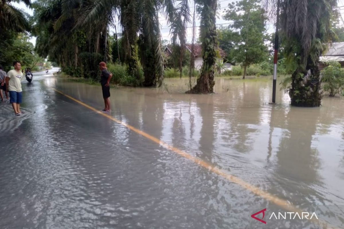 BNPB: Banjir genangi Jalintim Sumatera di Tulang Bawang Lampung