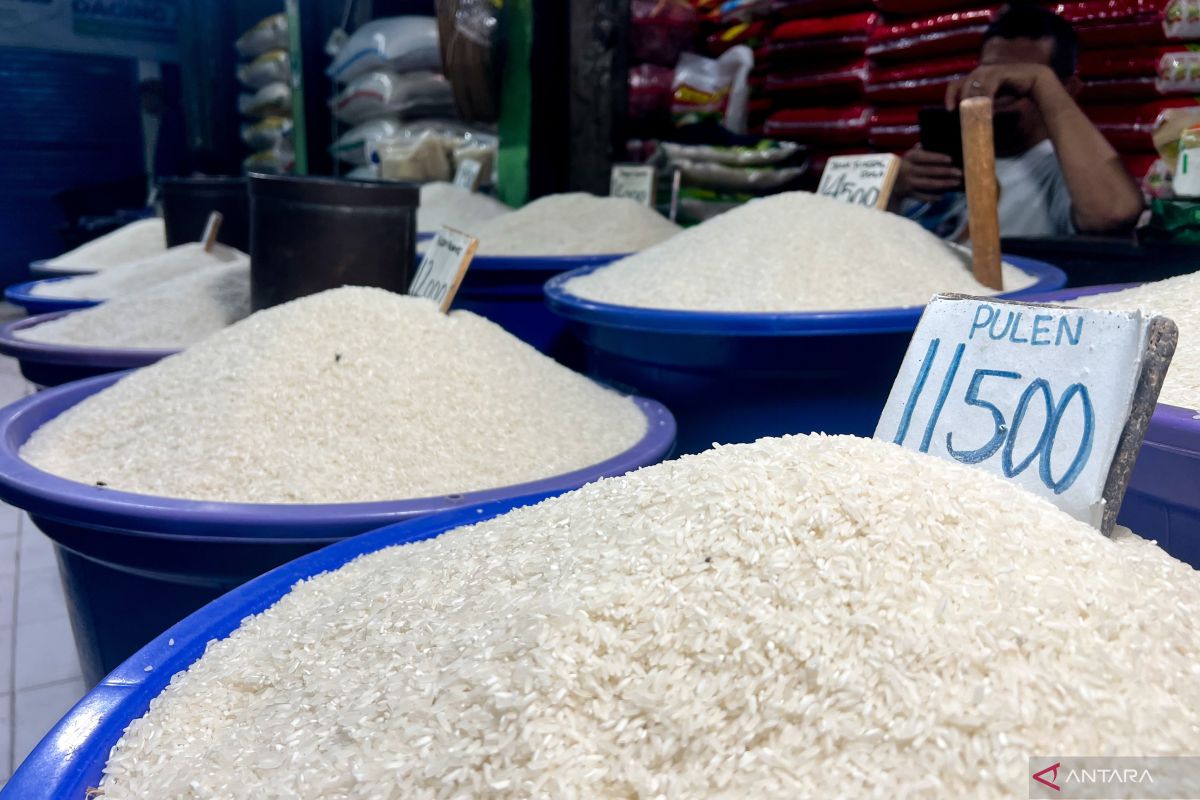 Bulog Secures Rice Supplies Until End of Ramadan: Ensuring Food Safety and Availability