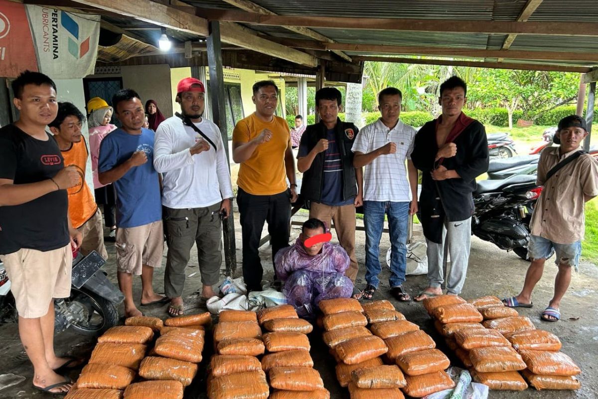Polisi gagalkan penyulundupan puluhan paket ganja ke Sumbar