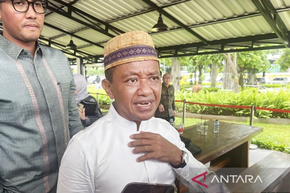 Pemerintah siapkan 21 proyek hilirisasi