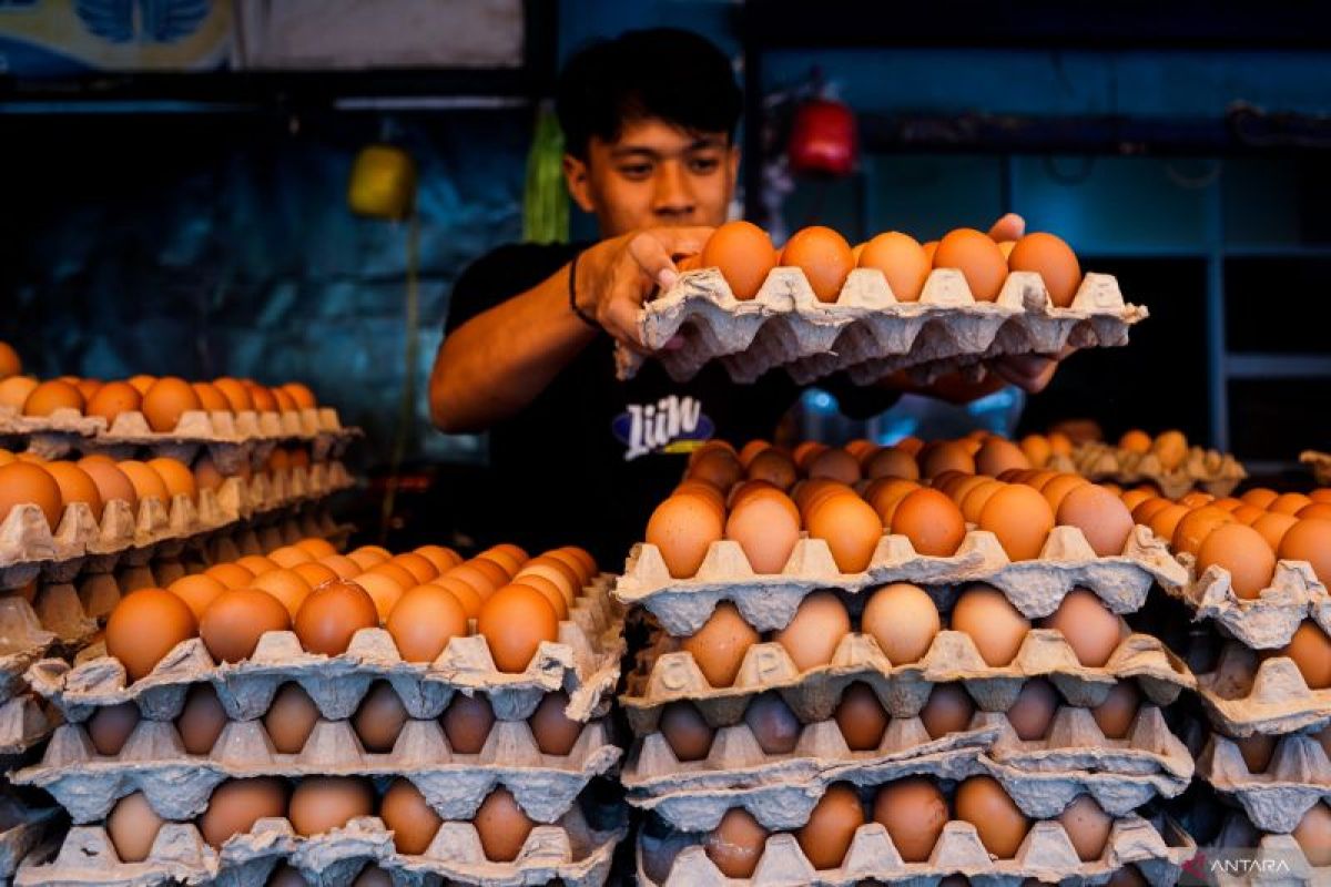 Kolaborasi Pemerintah menjaga harga pangan selama Ramadhan