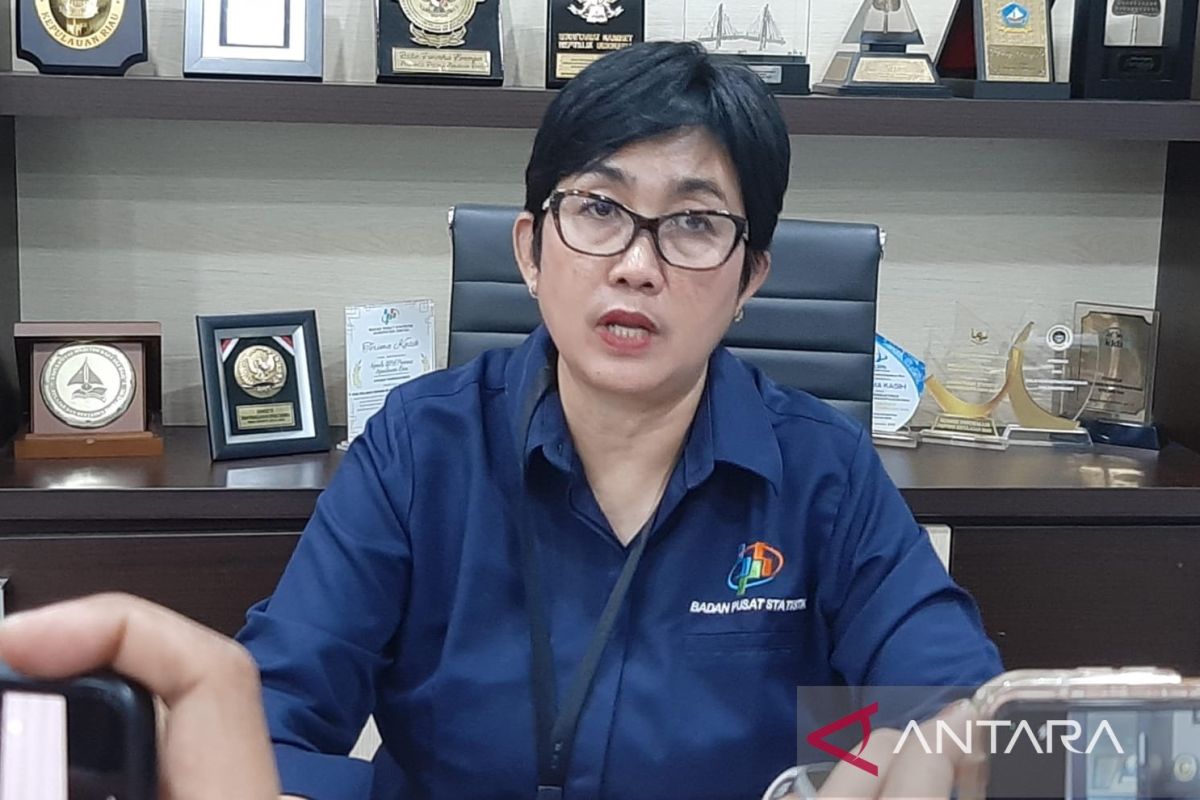 BPS Kepri: Diskon tarif listrik berkontribusi pada deflasi di awal tahun