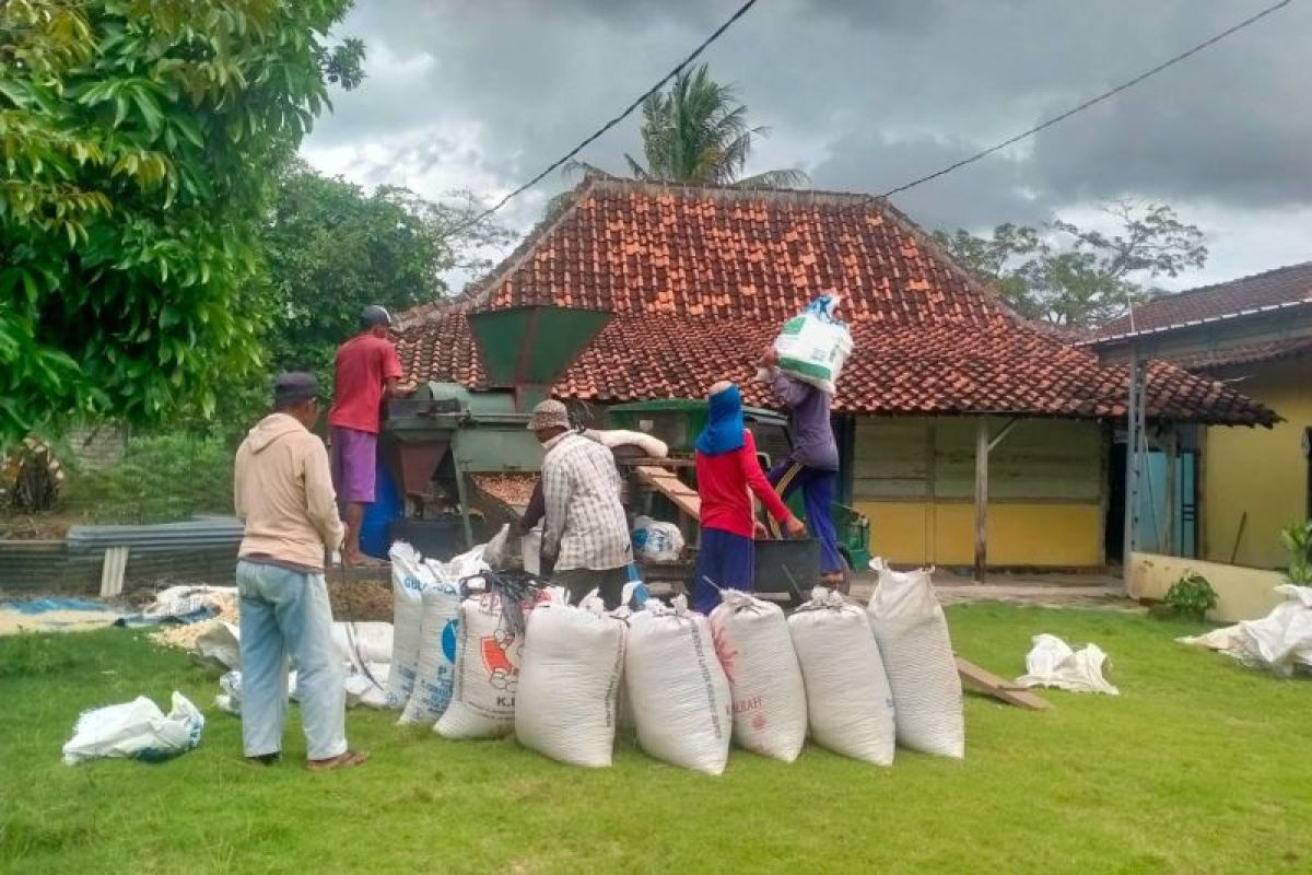 BPS: Nilai Tukar Petani Lampung naik 1,91 persen di Februari 2025