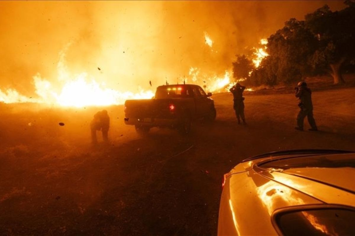 Kebakaran hutan hebat, Gubernur South Carolina sebut keadaan darurat