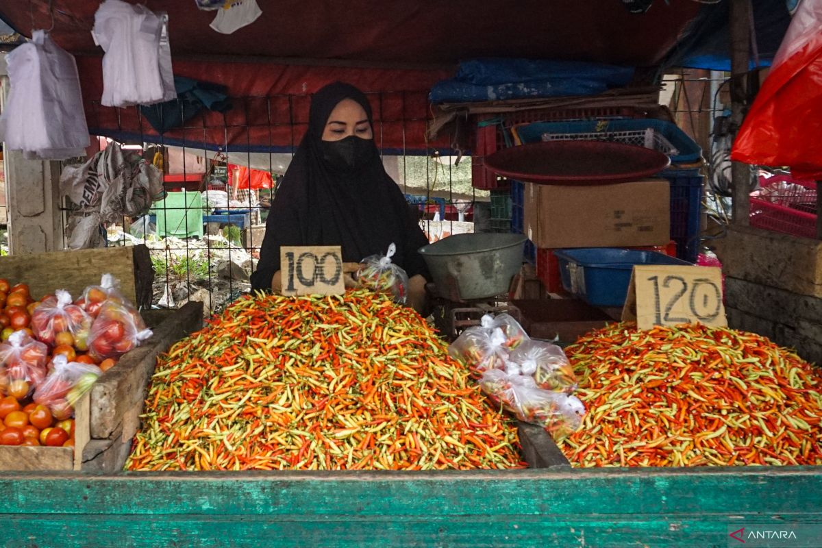 Pemprov NTB minta konsumen tak selektif terhadap rasa cabai lokal