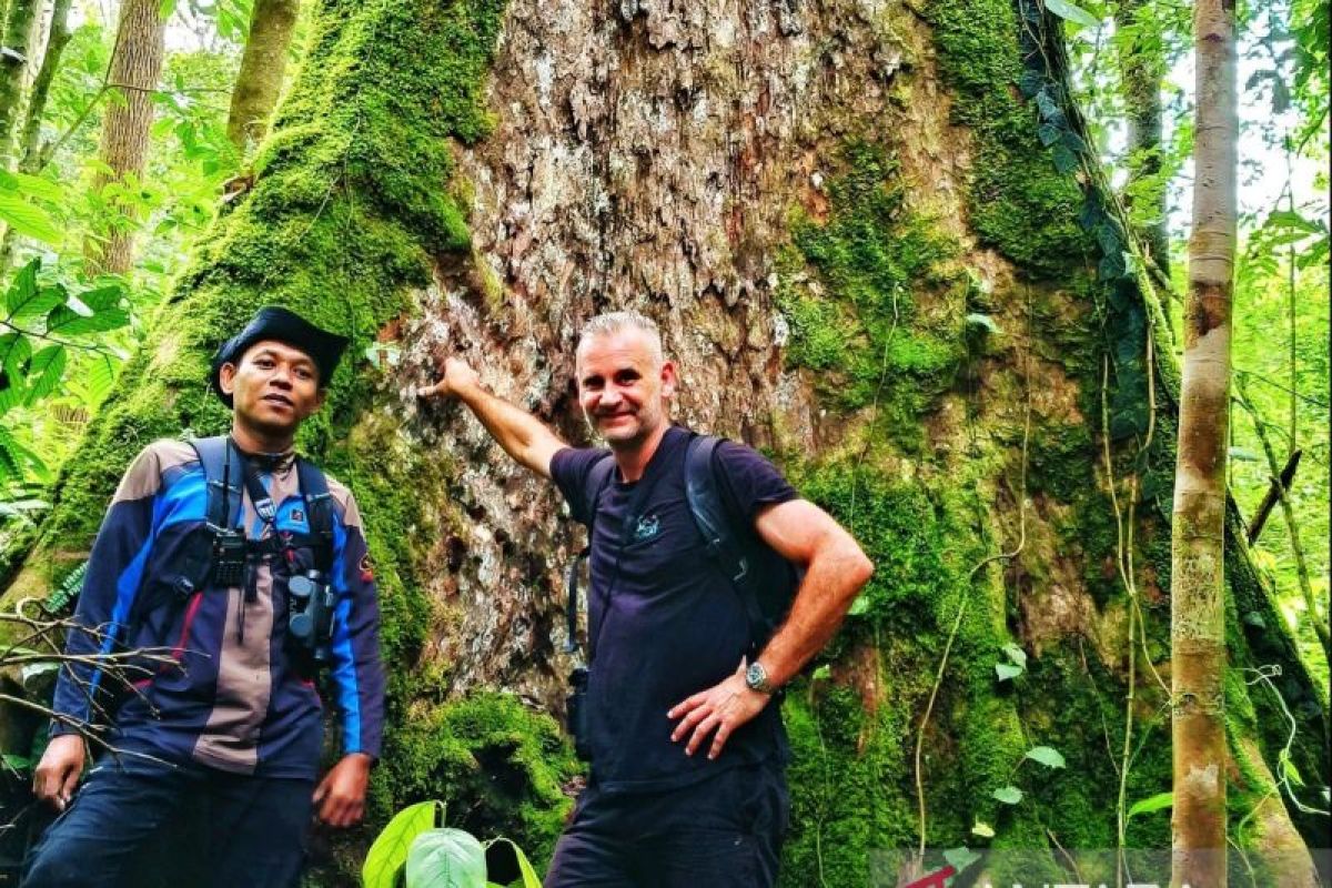 Ekowisata hutan Tapanuli Selatan, daya tarik baru bagi Turis Internasional