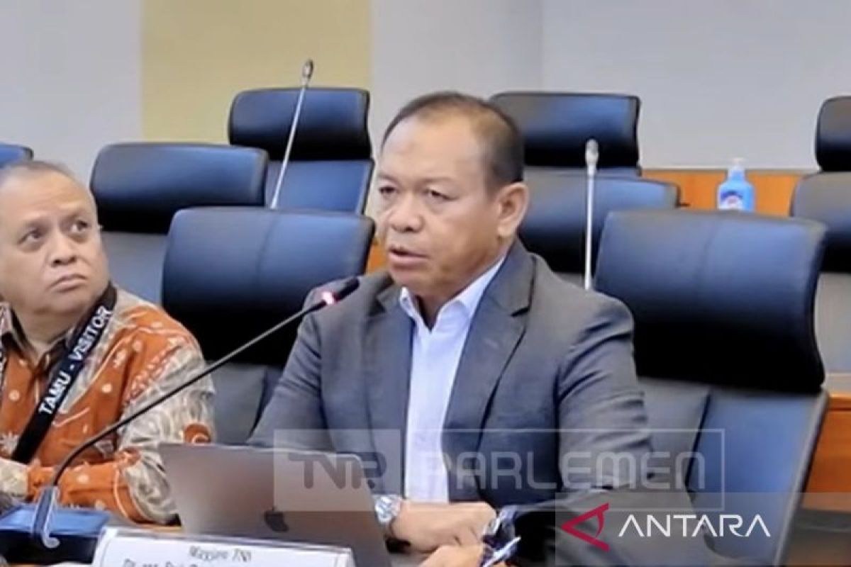 Pakar usulkan TNI terbuka isi jabatan sipil dalam rapat RUU TNI di DPR