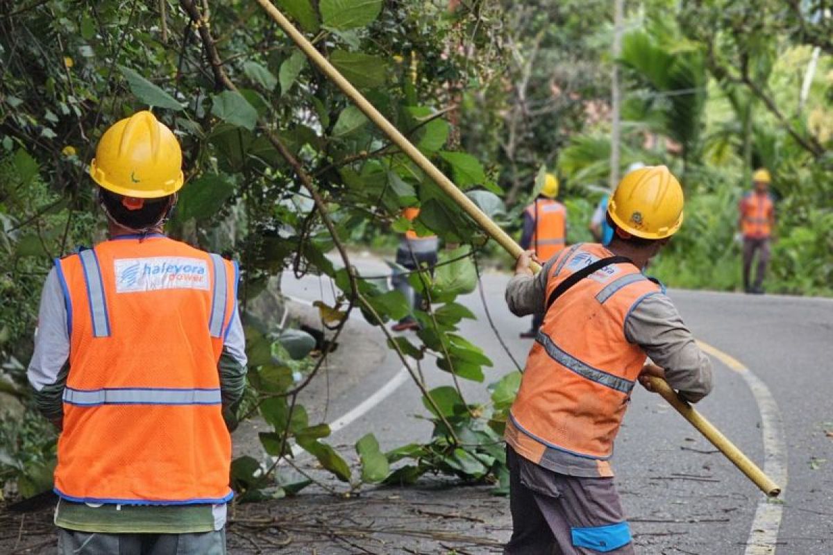 Jaga Listrik Tetap Aman di Bulan Ramadan, PLN UP3 Padang Adakan Gelar Peralatan dan Pembersihan Dahan Pohon
