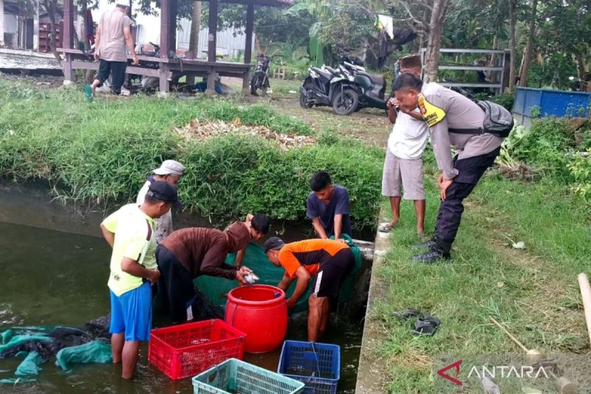 Polisi bantu peternak ikan air tawar di Lombok Barat