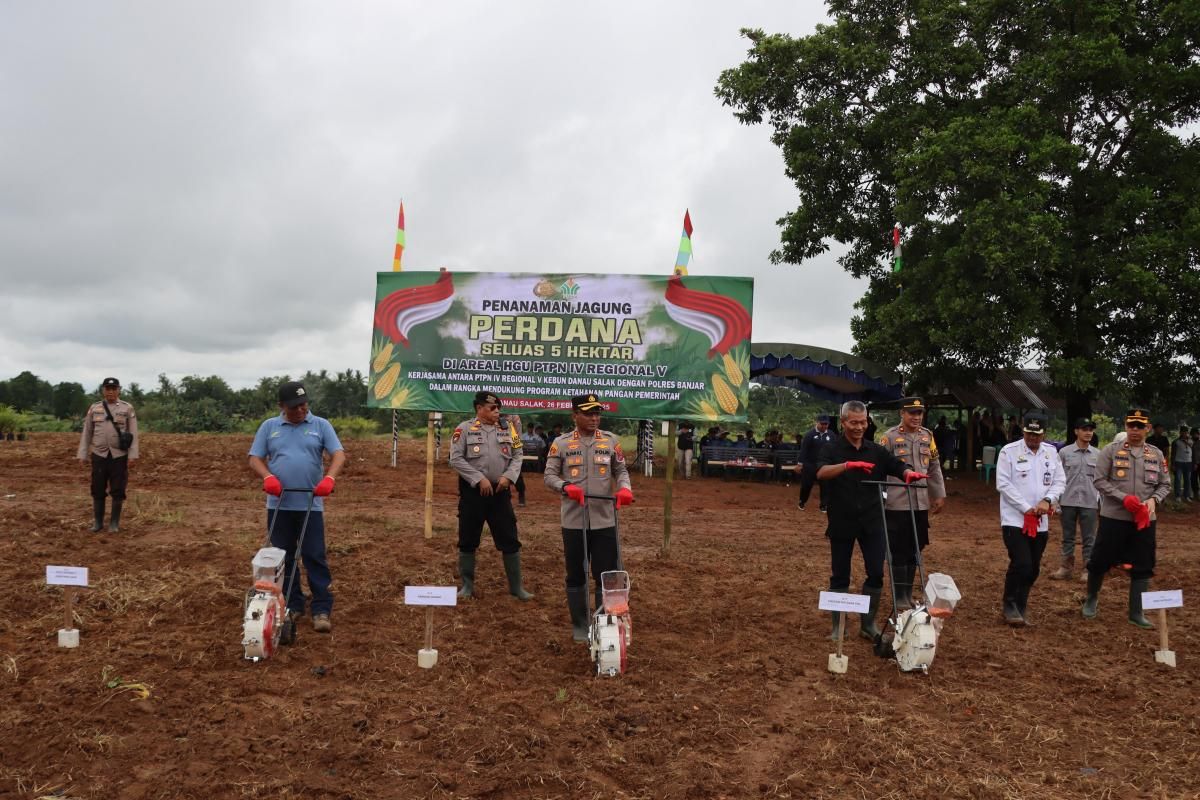 Dukung Asta Cita, tanam jagung 5 hektare di HGGU PTPN IV Regional 5
