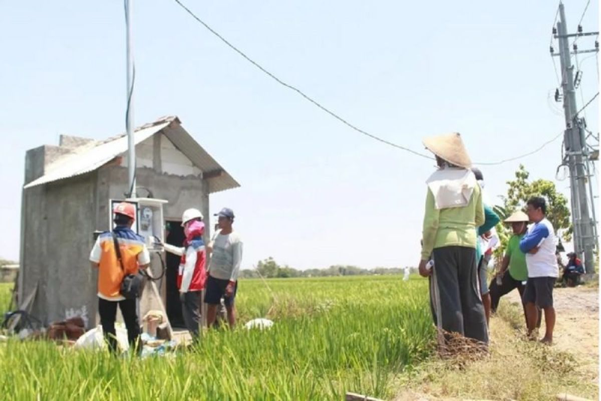 Program Electrifying Agriculture PLN raih 53.539 pelanggan baru pada 2024