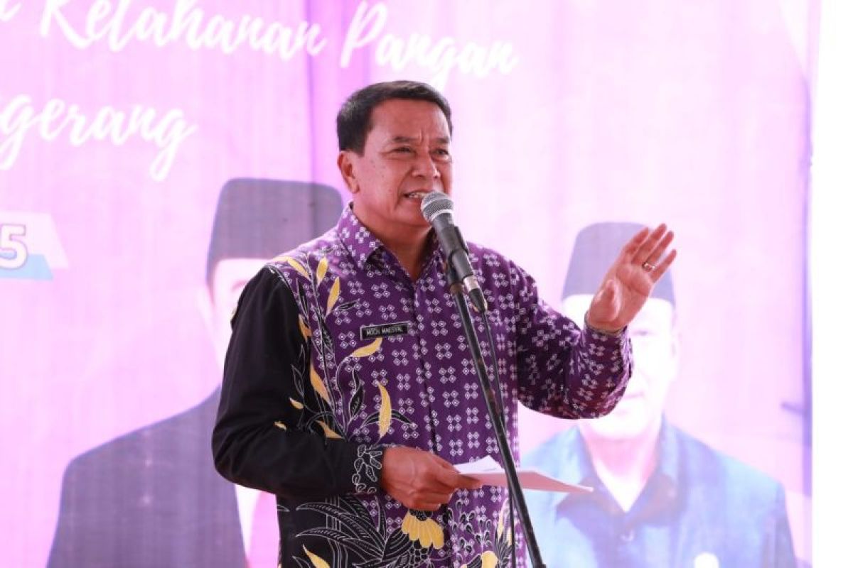 Bupati Tangerang serahkan bantuan sarana produksi pertanian