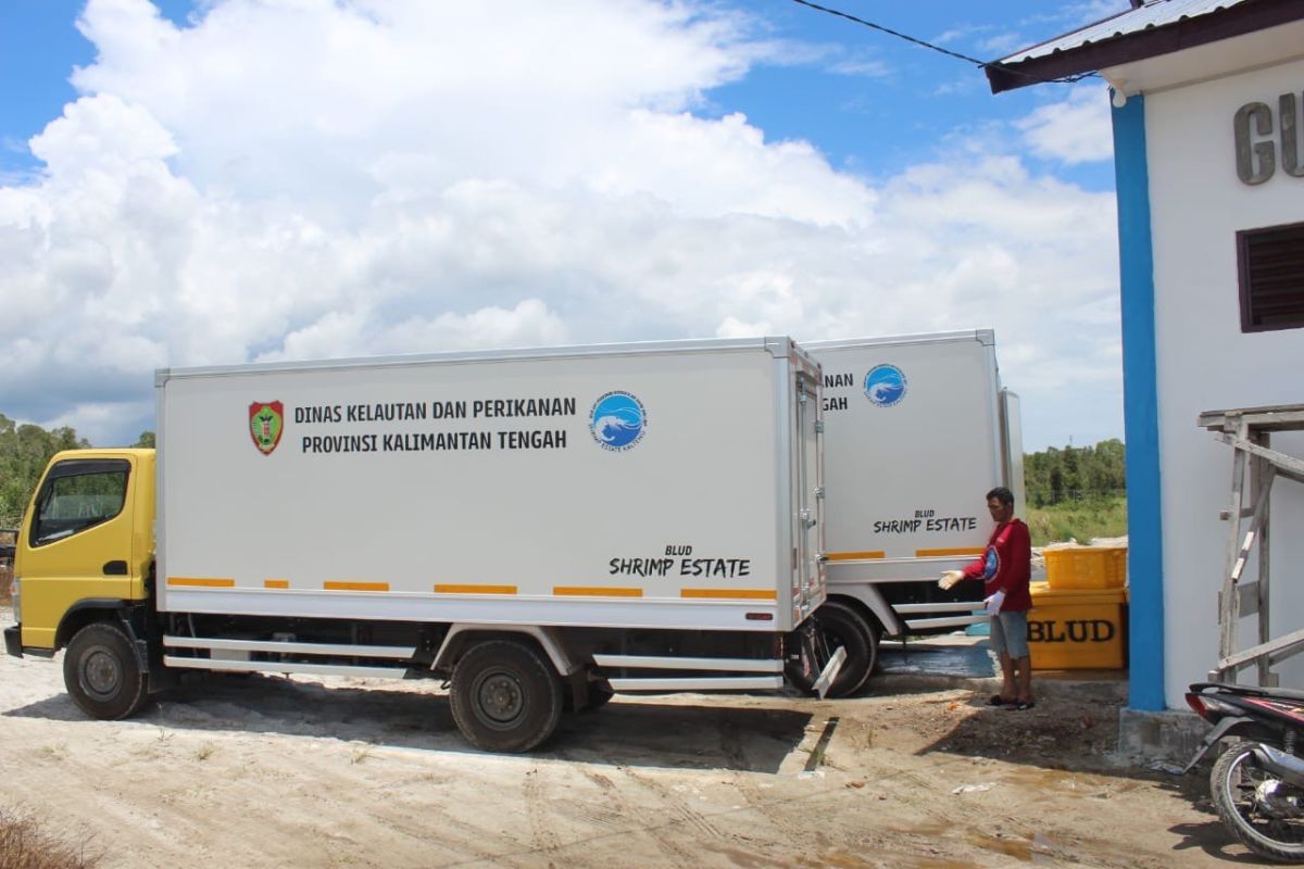 Kalimantan Tengah optimalkan Shrimp Estate sebagai penghasil PAD