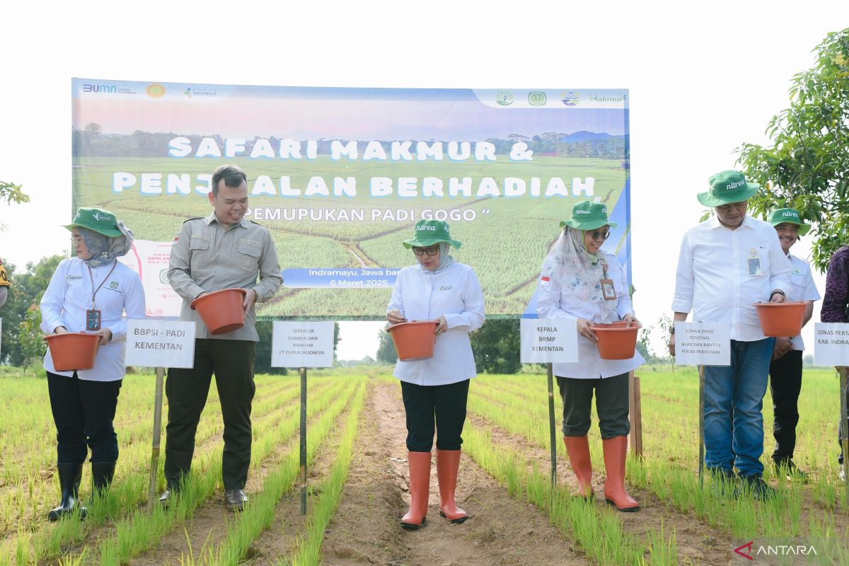Pupuk Indonesia ajak petani swasembada lewat pemupukan berimbang