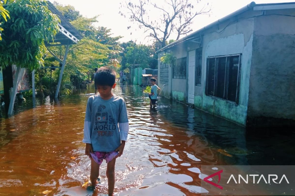 Sebanyak 14.200 jiwa korban banjir Pekanbaru butuh bantuan