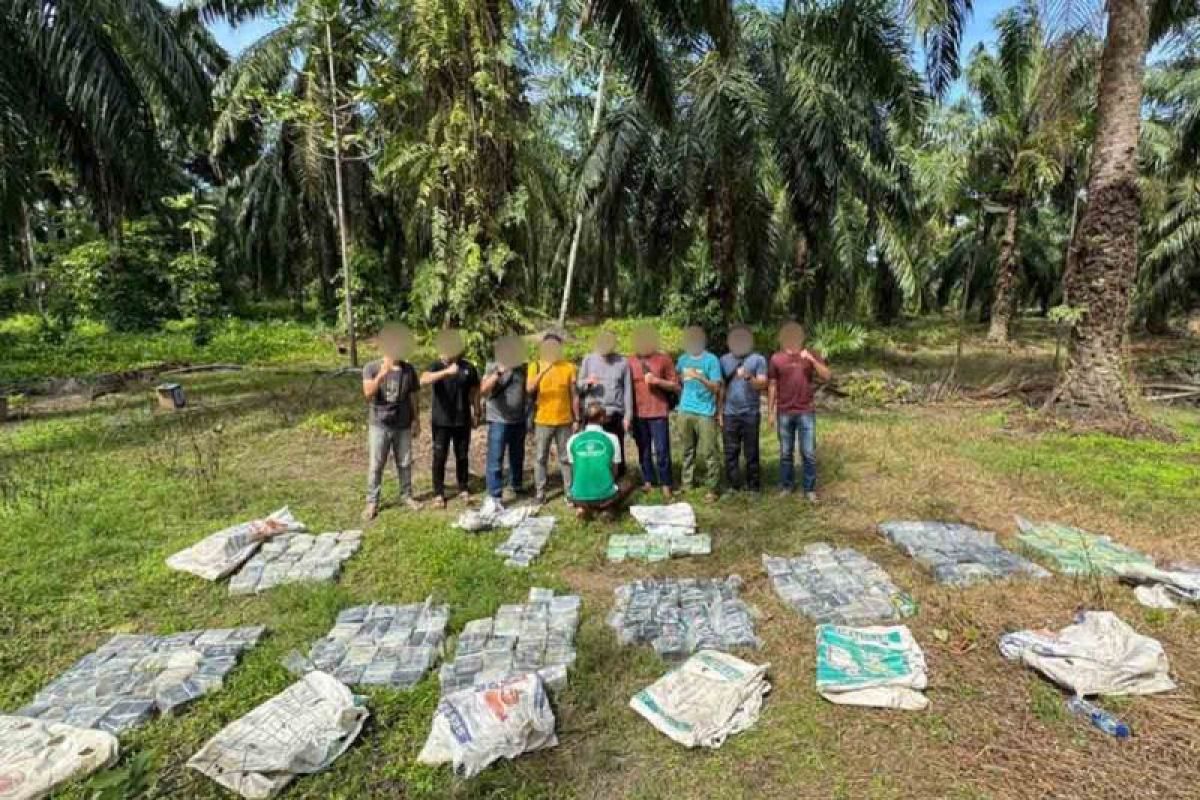 188 kilogram narkotika sabu-sabu ditemukan di kebun sawit Aceh Tamiang