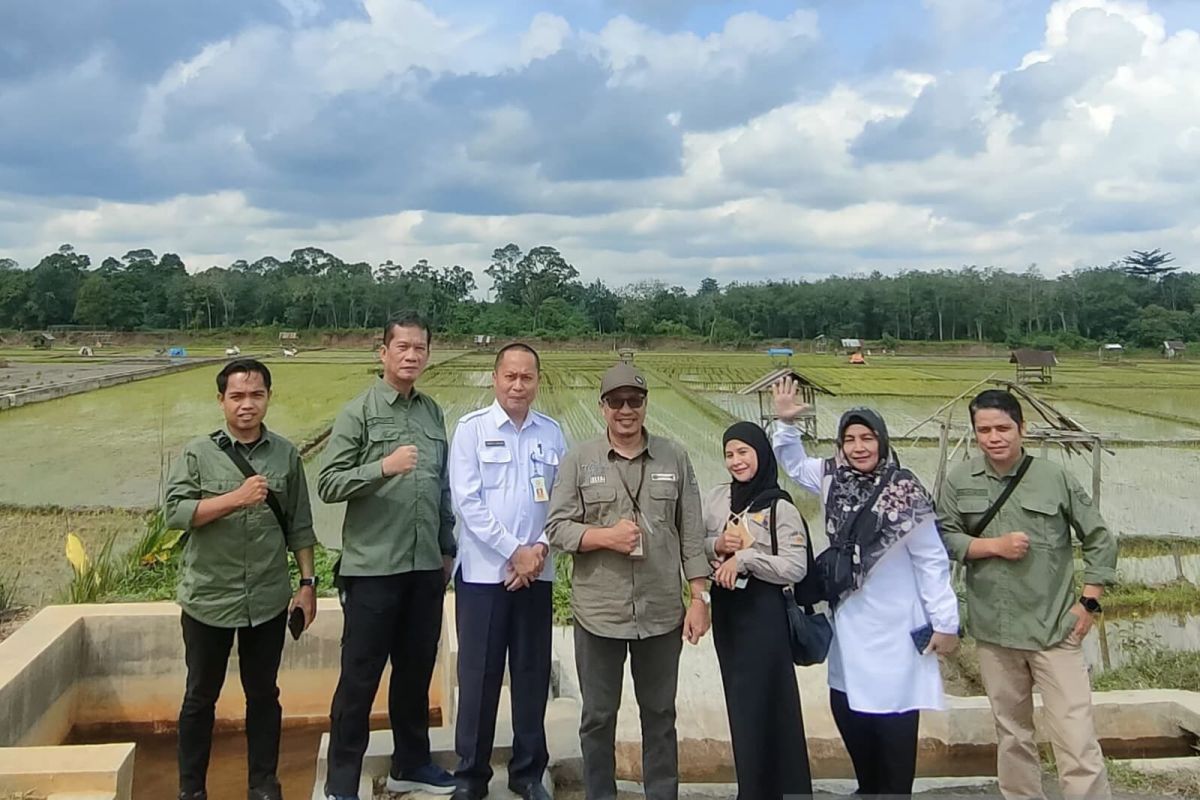 Pemprov Jambi usulkan lahan optimasi 7.000 hektare ke Kementan
