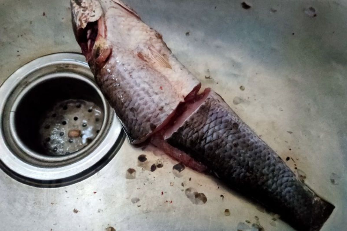 Harga ikan segar dan sayuran terus merangkak naik