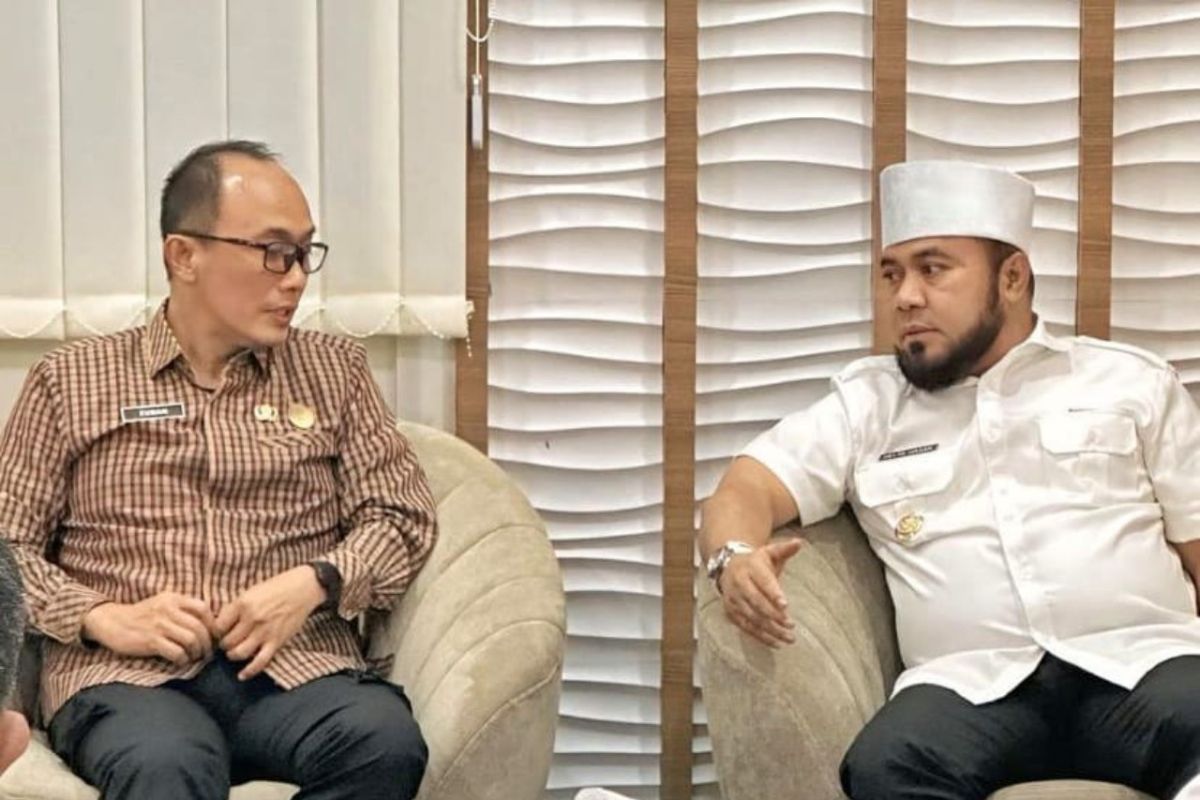 Gubernur Bengkulu sudah membahas perlindungan honorer dengan BKN